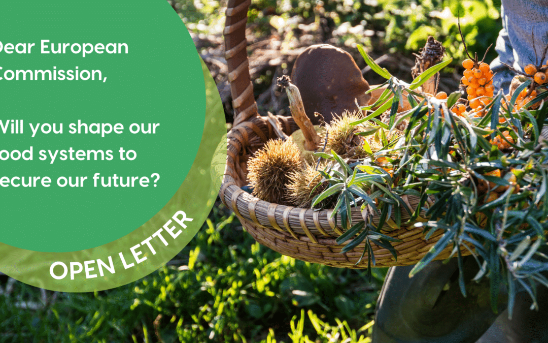 Joint call for a transformation and a legislative framework for sustainable food systems in the next mandate