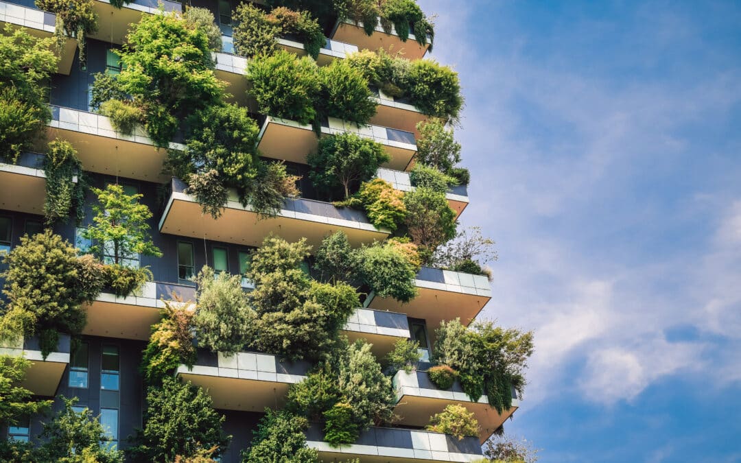 Health Organisations call on MEPs to support the provisional agreement on updating EU’s clean air standards