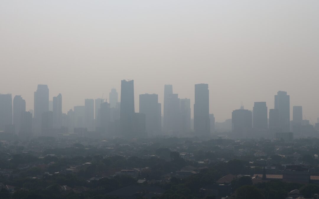 Health organisations call on EU environment ministers: swiftly adopt the Ambient Air Quality Directive deal