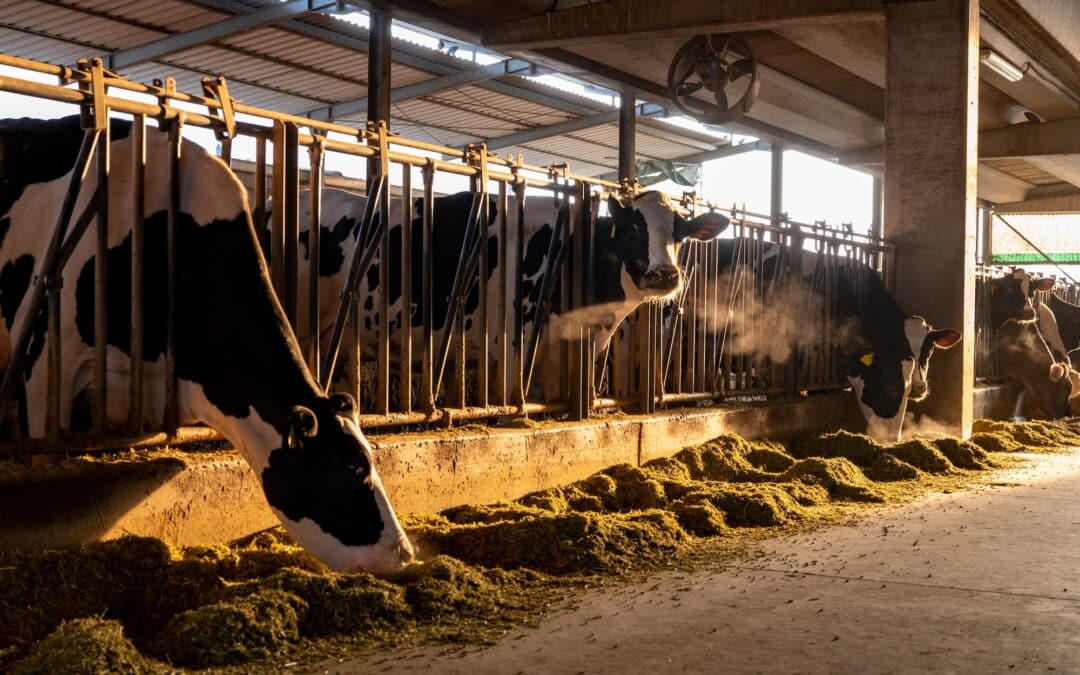 Why it’s high time to put change on the menu