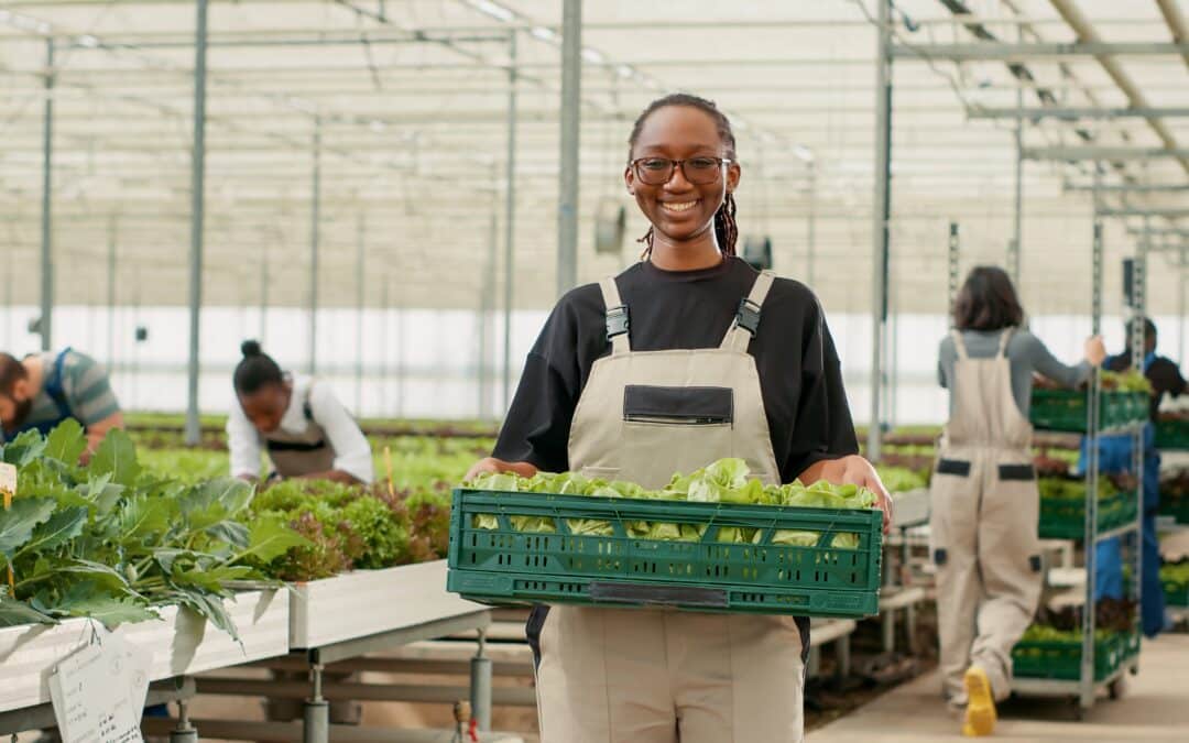 Assessing MEPs’ commitment to sustainable food systems: EU Food Policy Coalition’s scorecards unveiled