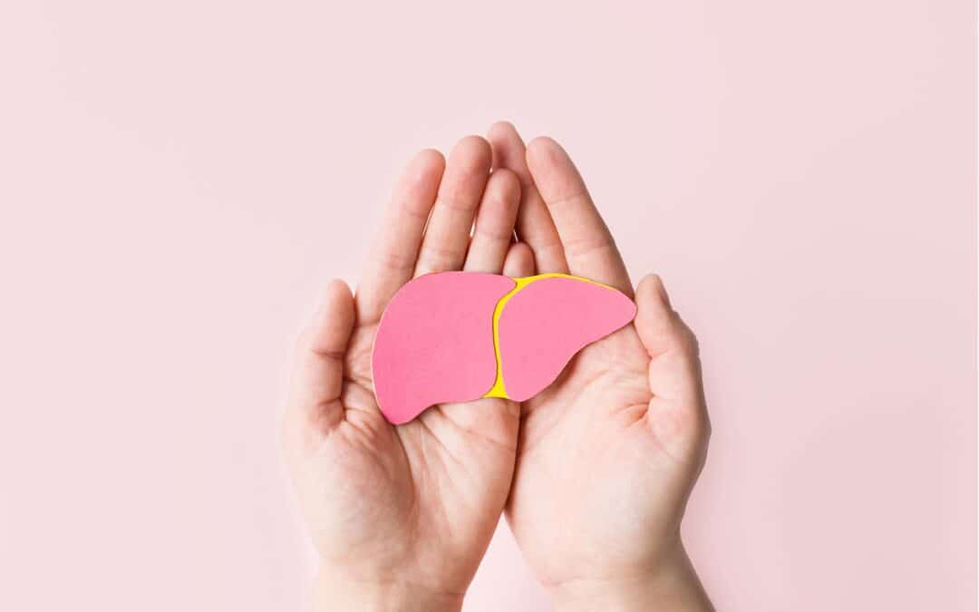 Advocating for liver health: the role of ELPA and the impact of the recent EU elections