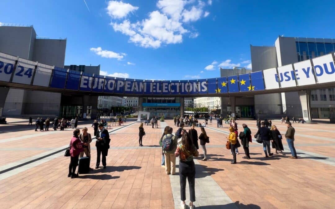 Keeping the #UseYourVote momentum: the path forward after the European elections