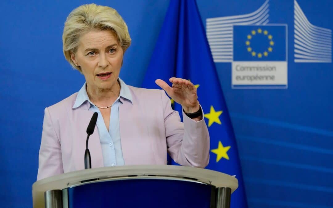 Call for the appointment of a Vice-President for Health, Wellbeing and Social Rights