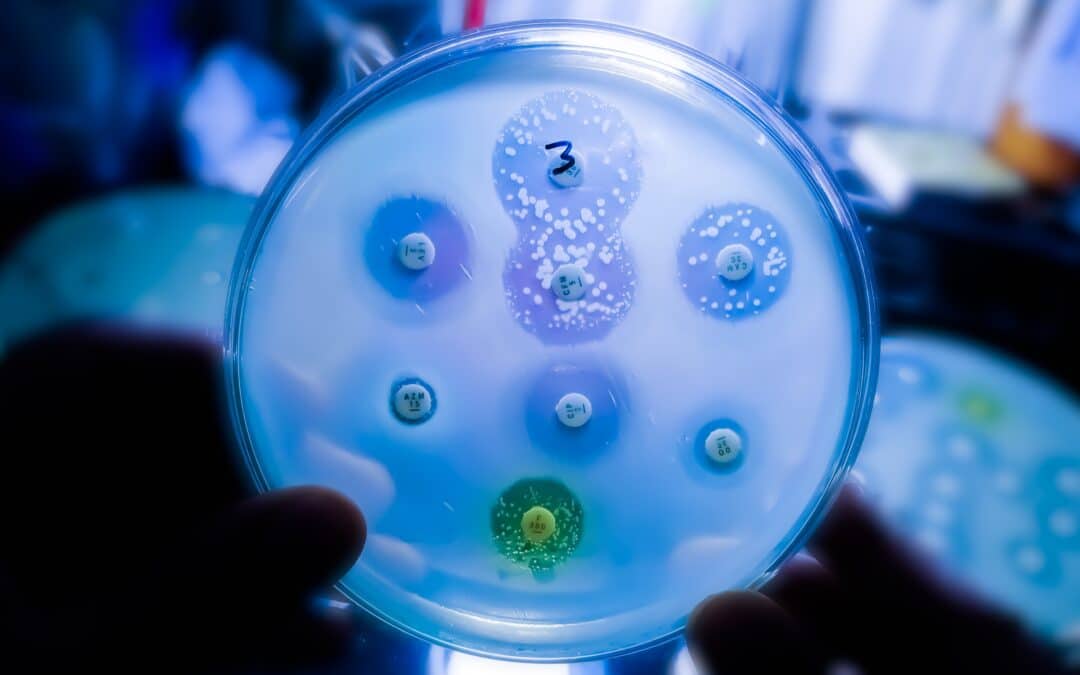 Tackling the antimicrobial research and development and access crisis: an overview