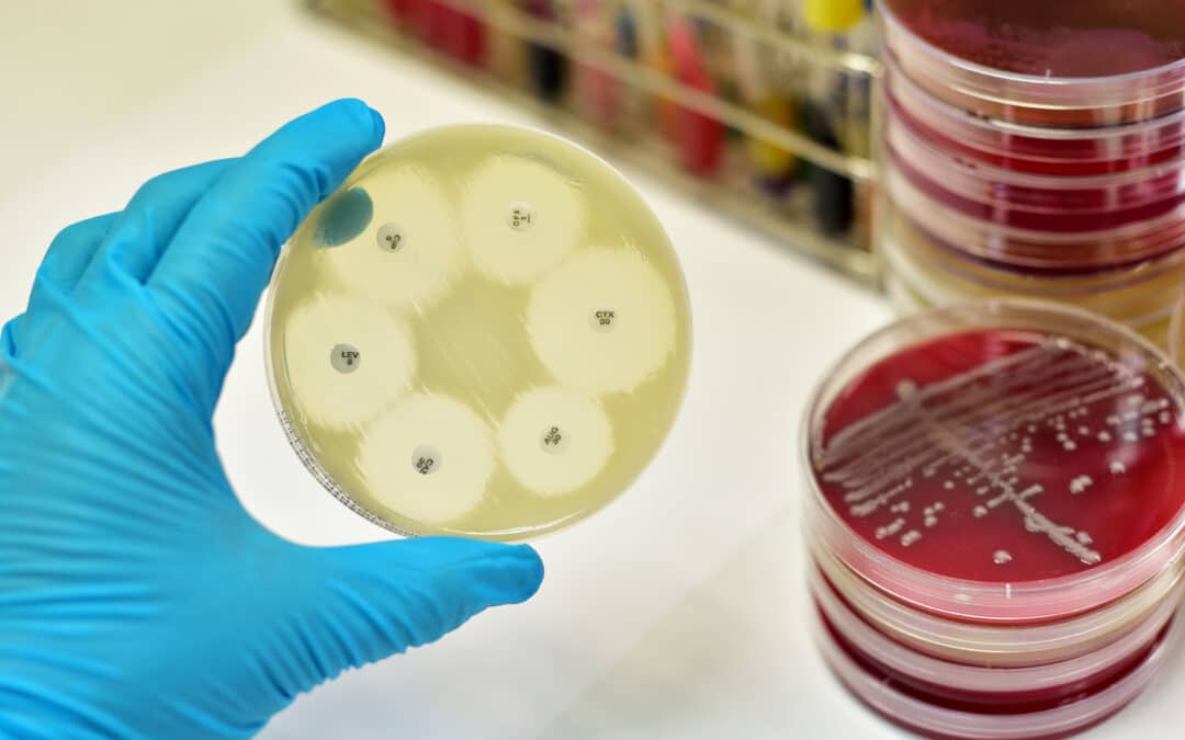 EPHA Newsletter | AMR in focus: addressing antimicrobial resistance in von der Leyen’s second term