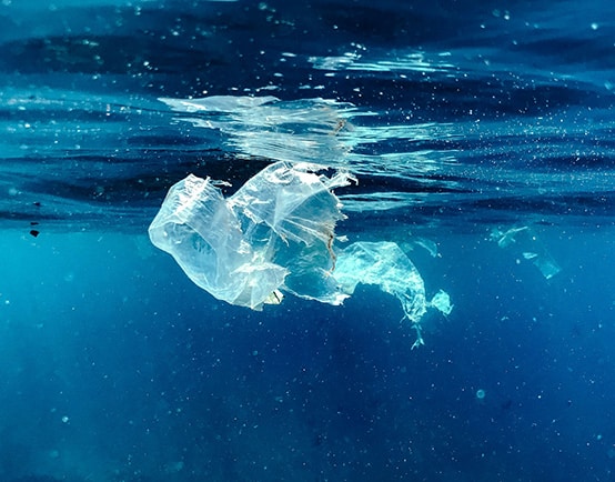 Slashing pollution is protecting public health: Reflections on Europe’s Zero Pollution Goals for World Environment Day