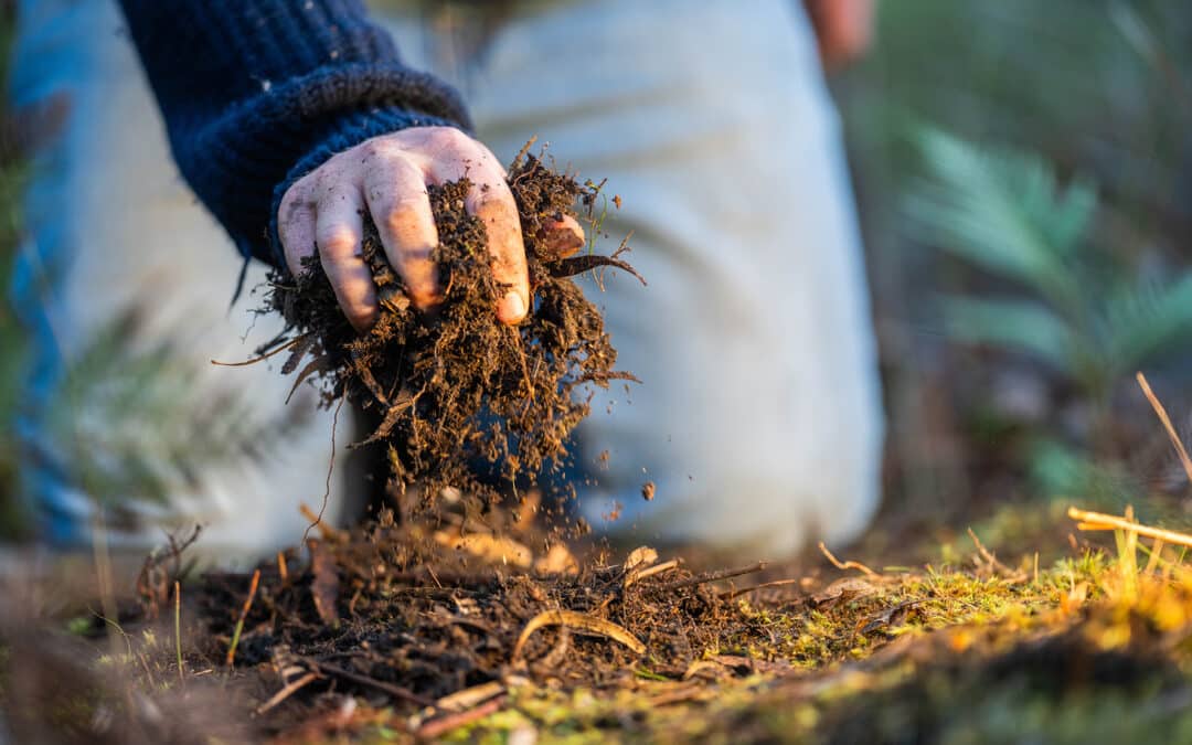 Food, farms, and futures: why the CAP is a public health policy