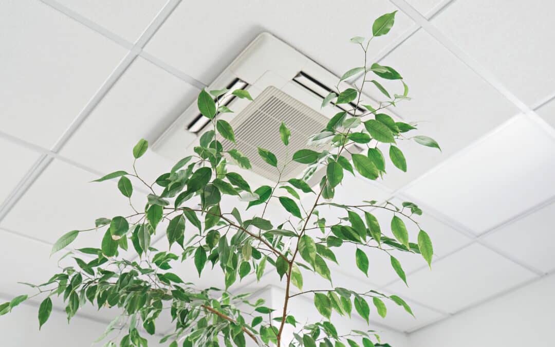 Healthy indoor air is a right and a prerequisite for resilience: a European call with global relevance