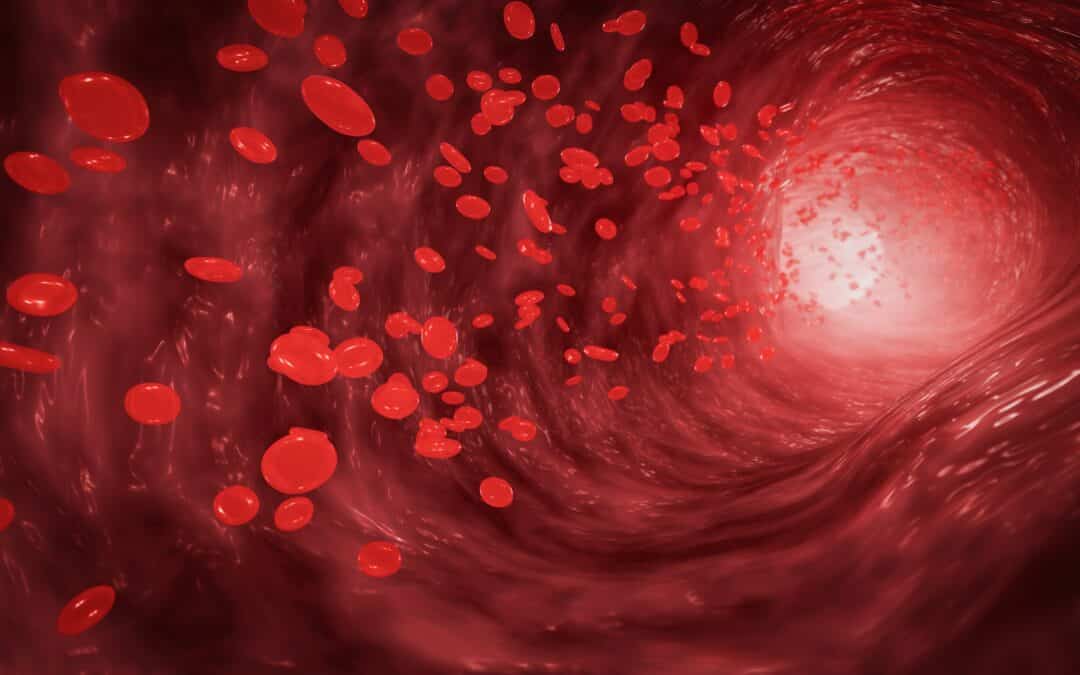 Framing action for cardiovascular health in Europe: Reflections on the new EU Safe Hearts Plan