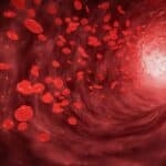 Framing action for cardiovascular health in Europe: Reflections on the new EU Safe Hearts Plan