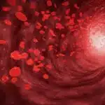 Framing action for cardiovascular health in Europe: Reflections on the new EU Safe Hearts Plan