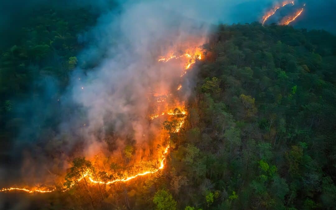 Health organisations call for decisive 2040 EU climate ambition