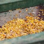 Food security beyond production: what Europe’s agri-food debate risks overlooking