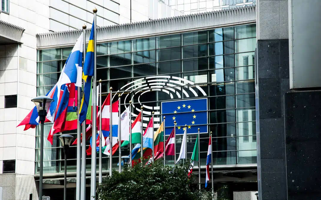 EPHA Welcomes Member States’ Calls for the Restoration of EU4Health Operating Grants for Civil Society