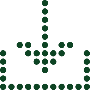 asset 9
