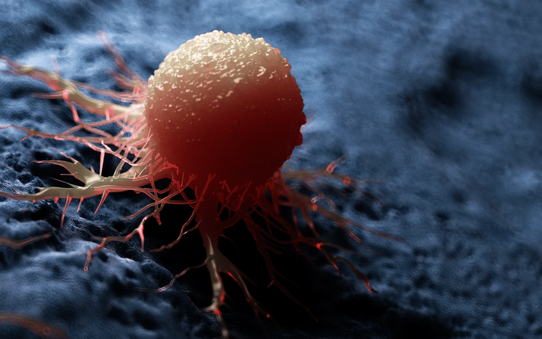 European Week Against Cancer: A call to beat inequalities in cancer prevention