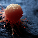 European Week Against Cancer: A call to beat inequalities in cancer prevention