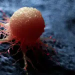 European Week Against Cancer: A call to beat inequalities in cancer prevention