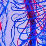 EPHA responds to the European Commission’s call for evidence on Cardiovascular diseases – health checks