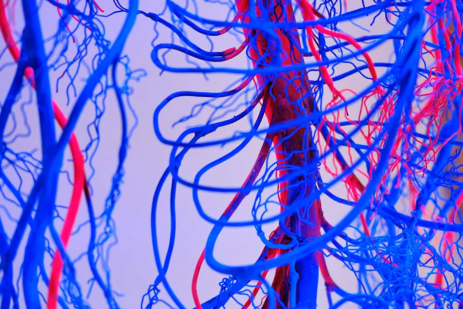 EPHA responds to the European Commission’s call for evidence on Cardiovascular diseases – health checks
